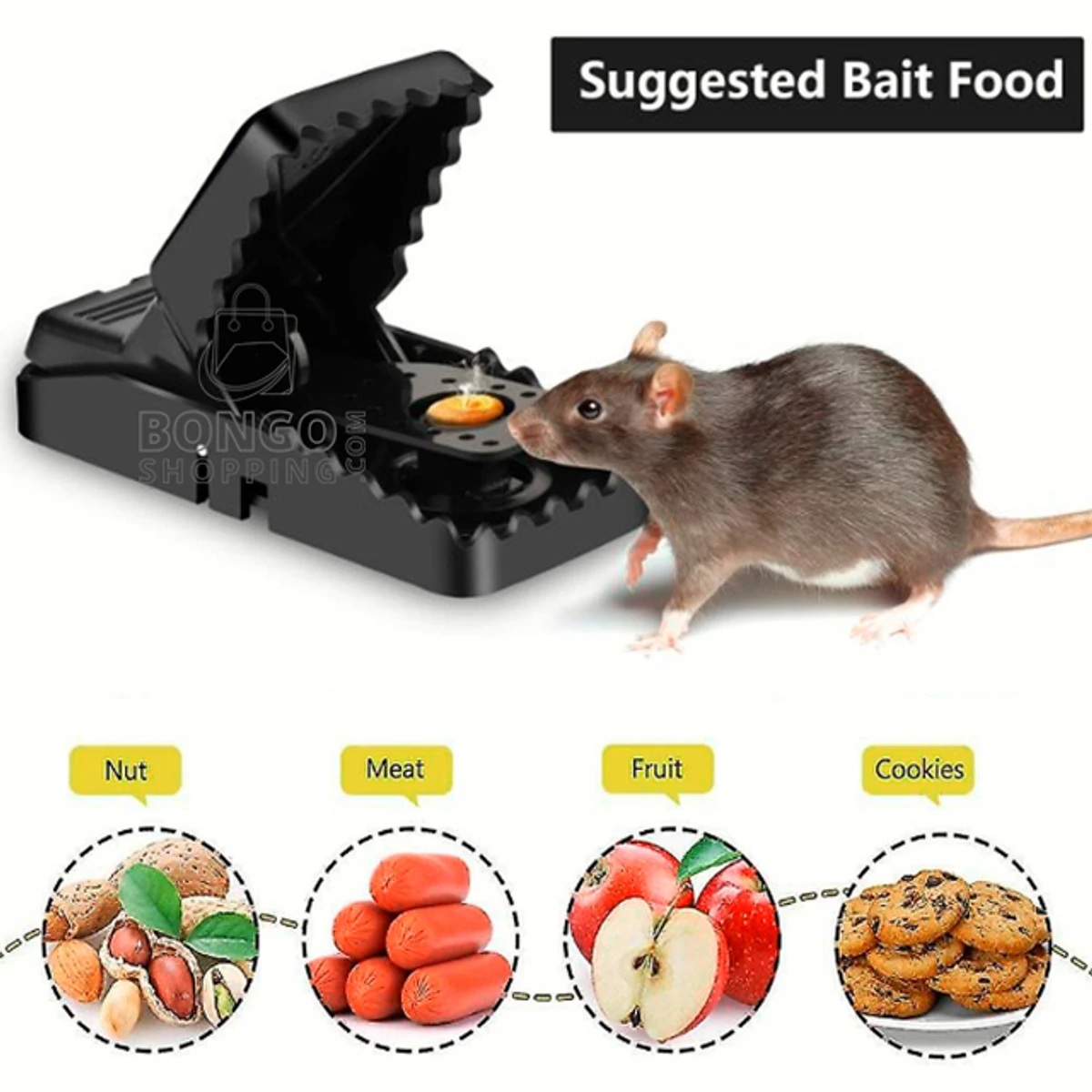 Rat Trap Pest Control Mouse