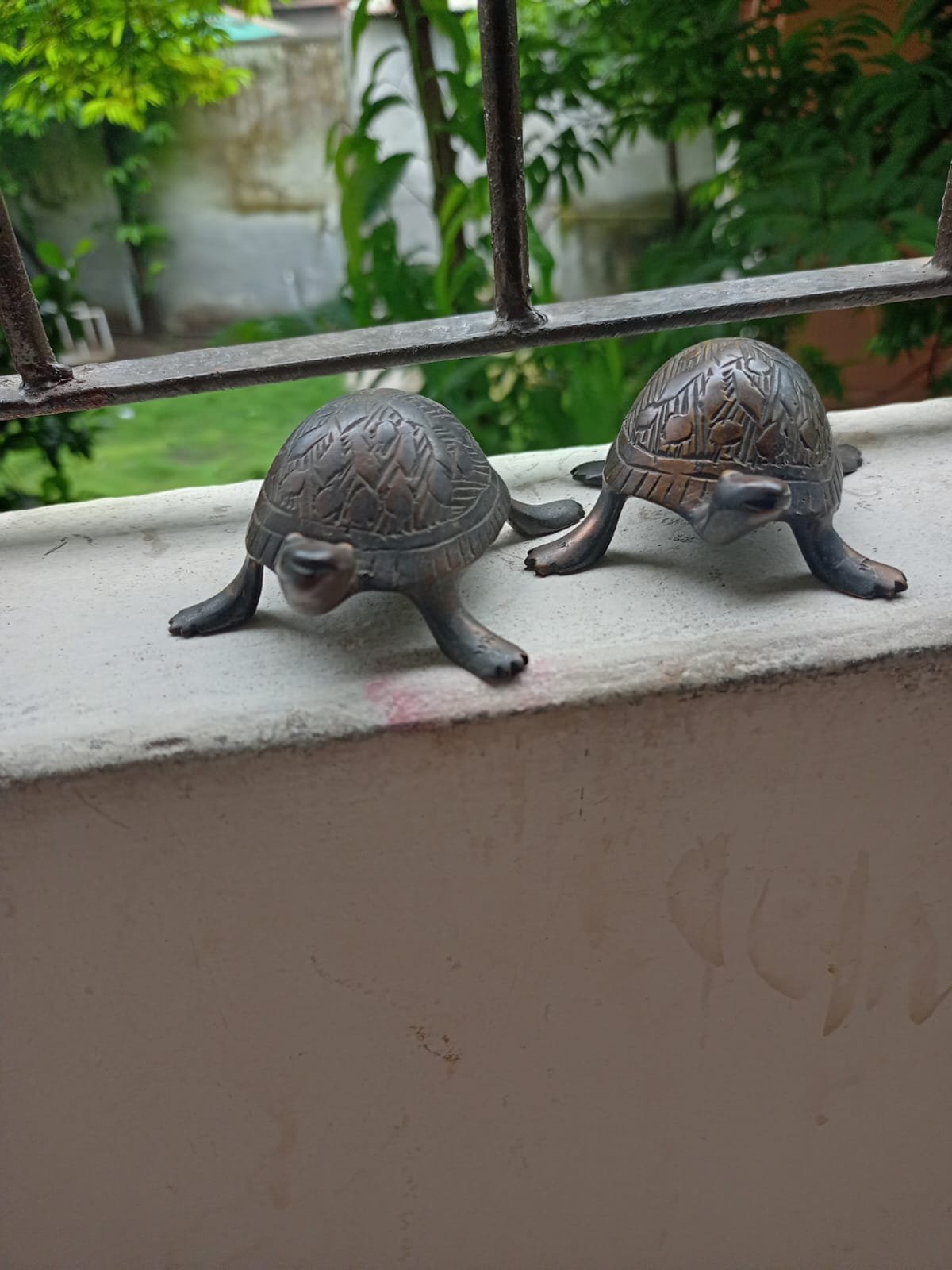 খাঁটি পিতলের কচ্ছপ শোপিস